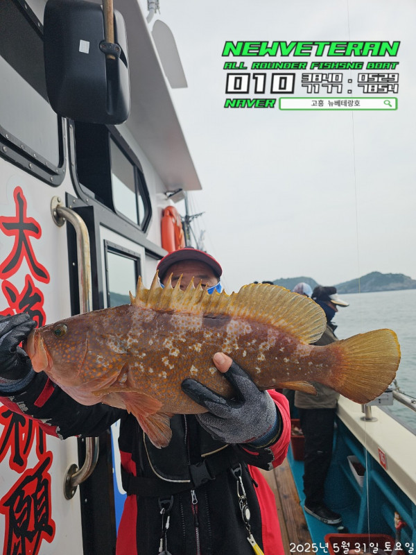 고흥뉴베테랑호_사진_20250531_3.jpg