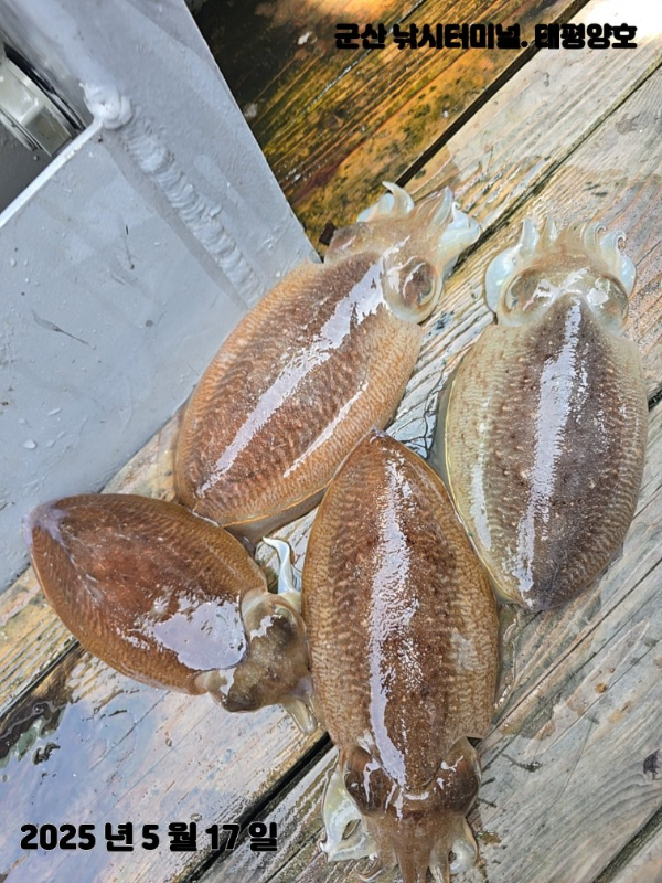 KakaoTalk_20250517_153904114_09 (1).jpg