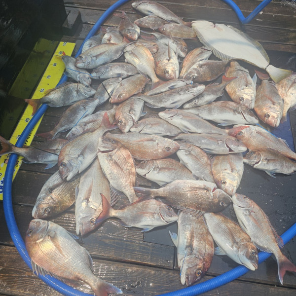 마검포 대한호(VIP)_사진_20250530_2.jpg