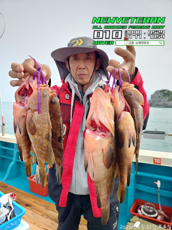 고흥뉴베테랑호_사진_20250531_12.jpg