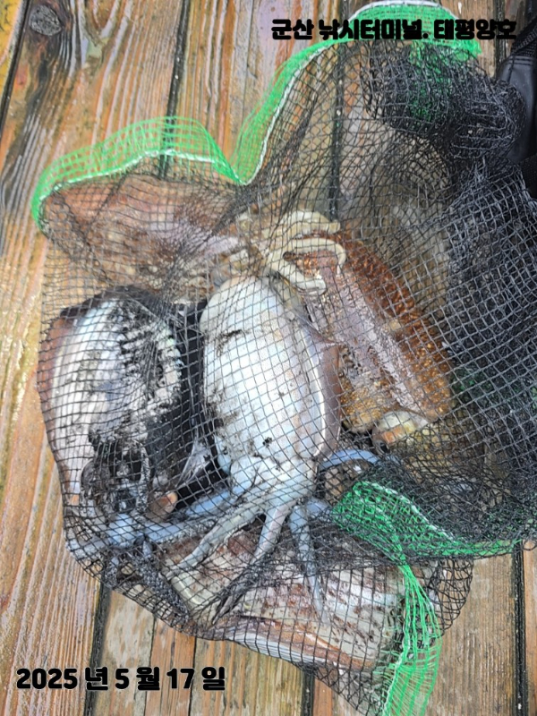 KakaoTalk_20250517_153904114_10 (1).jpg