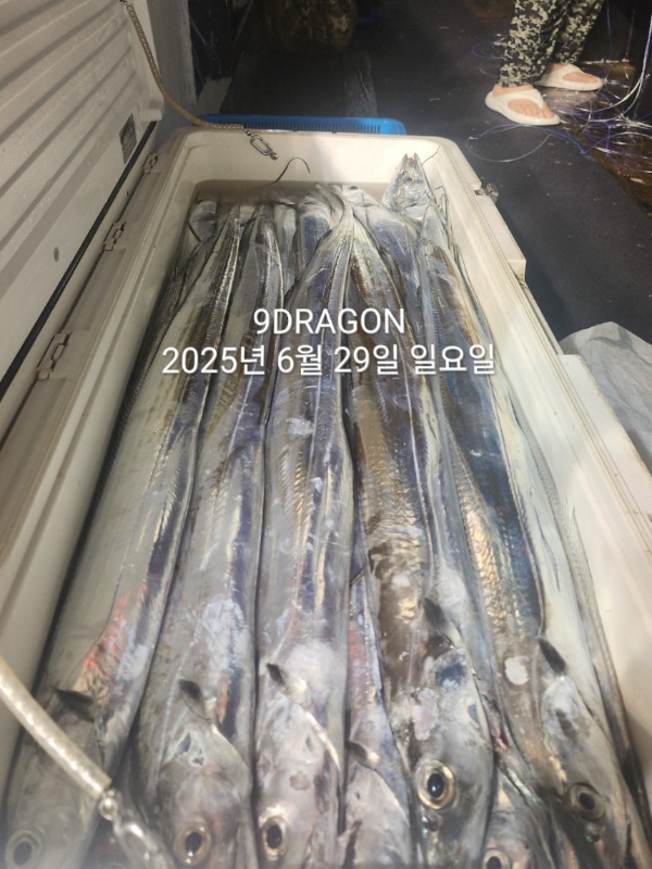 7385FC7E-CF3A-4B61-830A-CDDDFE6B1084.jpeg