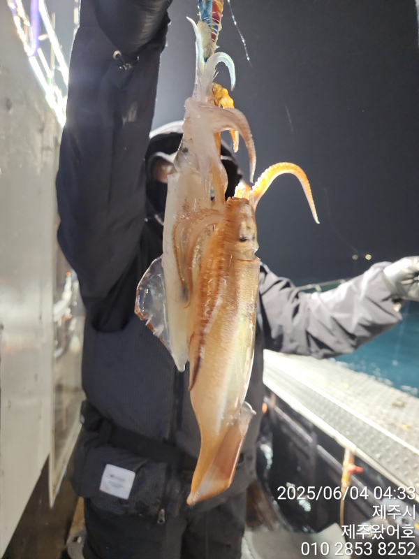 제주왔어호_사진_20250604_13.jpg