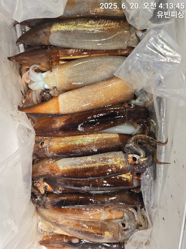 KakaoTalk_20250620_073609617_08.jpg