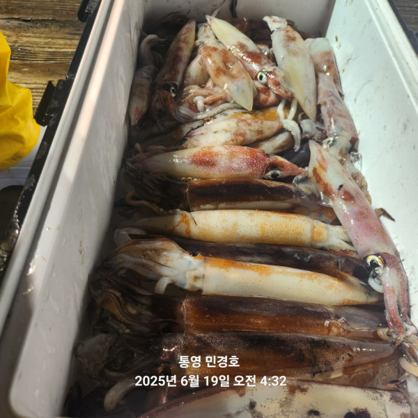 CE9753EC-C392-4DE6-86B0-91D6223A30C8.jpeg
