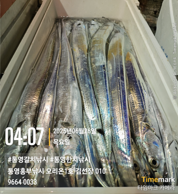16ac3f3cfed2fb806d789e156e9141e2.jpg