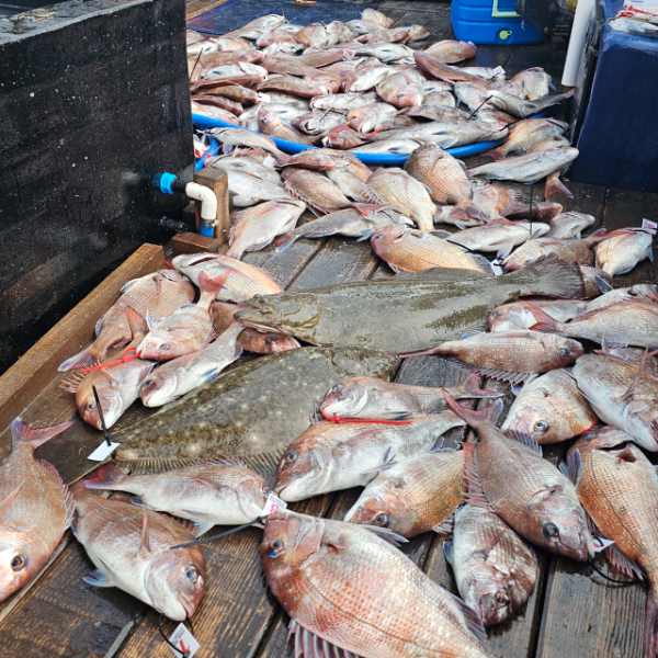 마검포 대한호(VIP)_사진_20250601_2.jpg