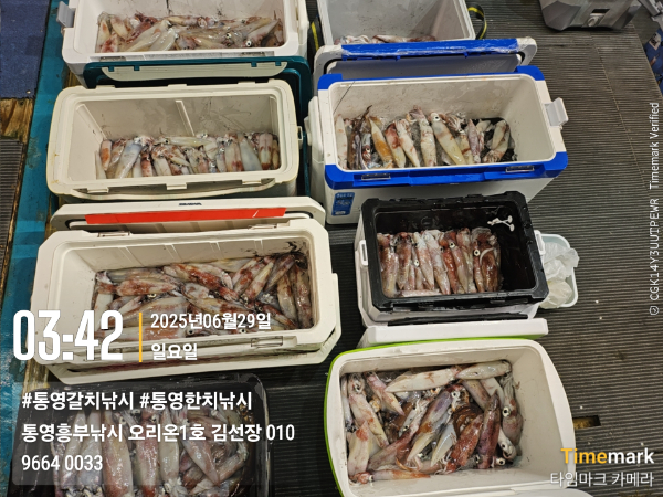 1dae122decd587cc30f2a51556497cde.jpg