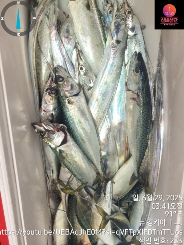 a_7g6Ud018svc1gd861neiukpr_wr3ref.jpg