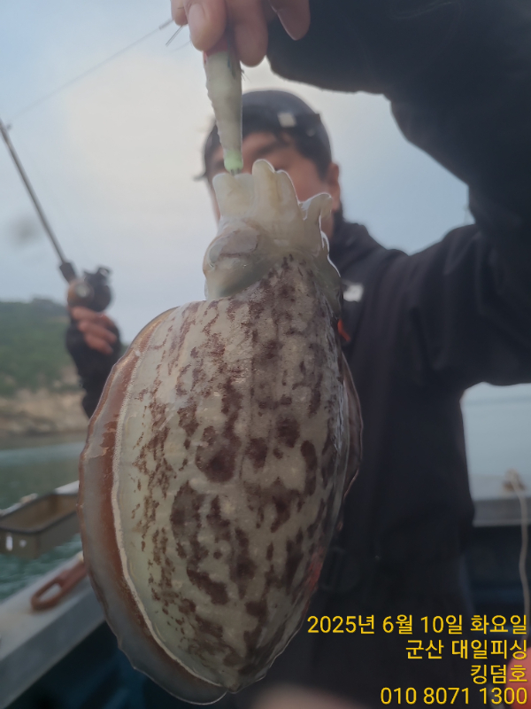 KakaoTalk_20250611_111516653_07.jpg