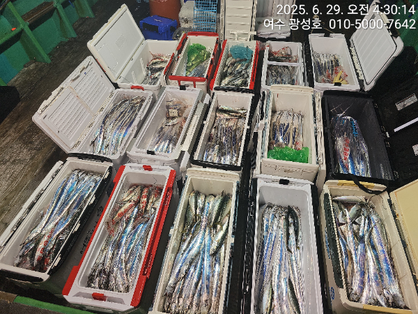 KakaoTalk_20250629_060205708_08.jpg