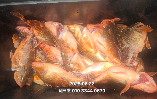 KakaoTalk_20250624_142321215_12.jpg