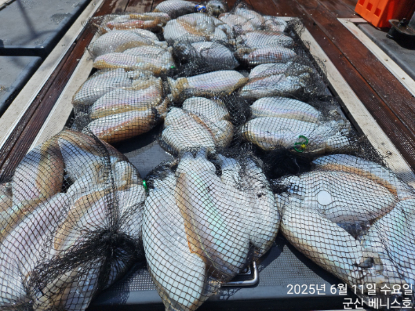 KakaoTalk_20250611_150715177_01.jpg