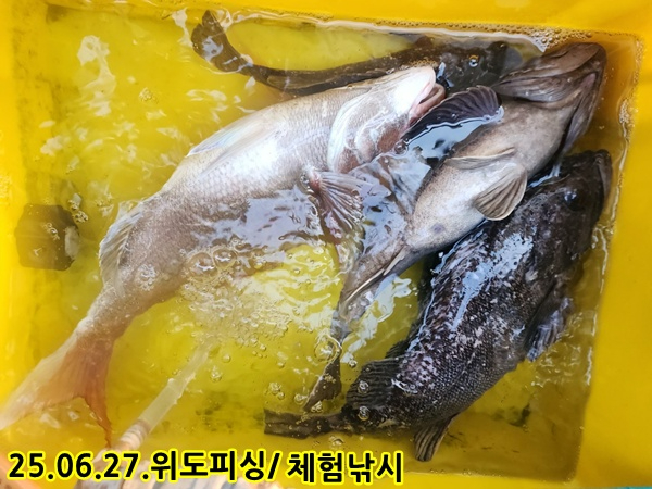 37cdfb0df23c96fdfec1ea2e60d6fca6.jpg