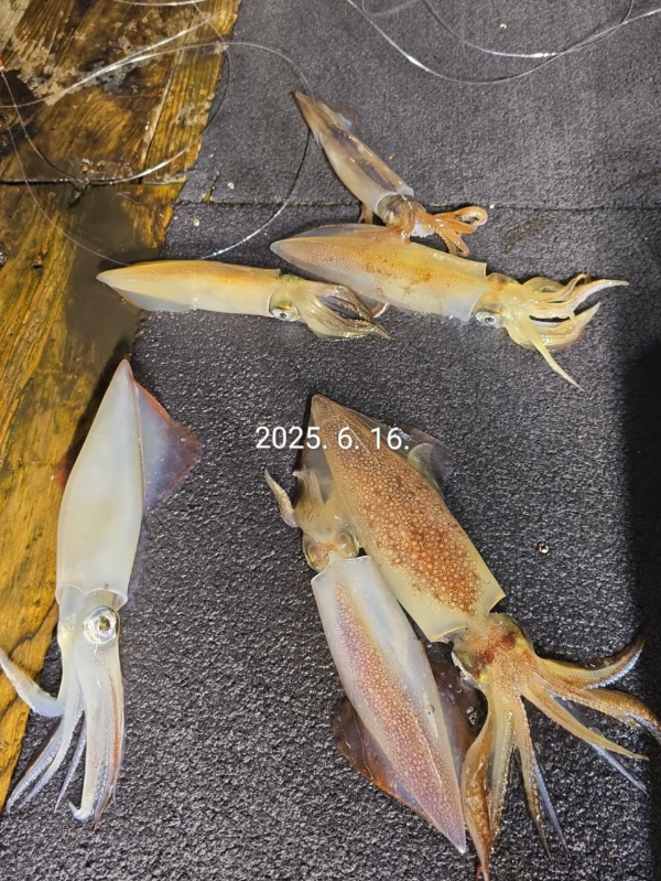 96DD705E-EEB3-42EF-8C2C-DABEC3CE1FDD.jpeg