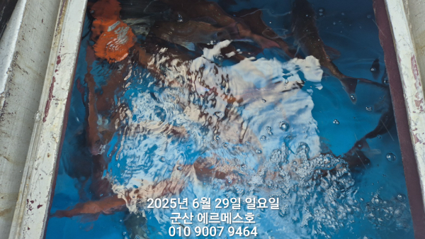 1000053728.jpg