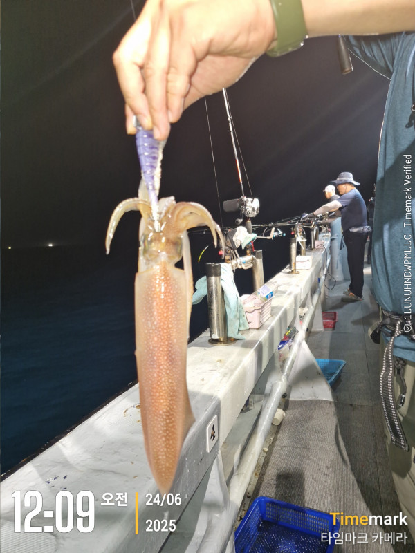 2025-06-24 12.09.09_.jpg