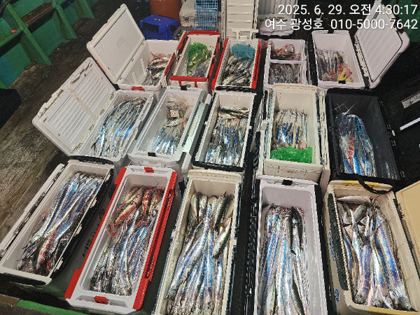 KakaoTalk_20250629_060205708_10.jpg