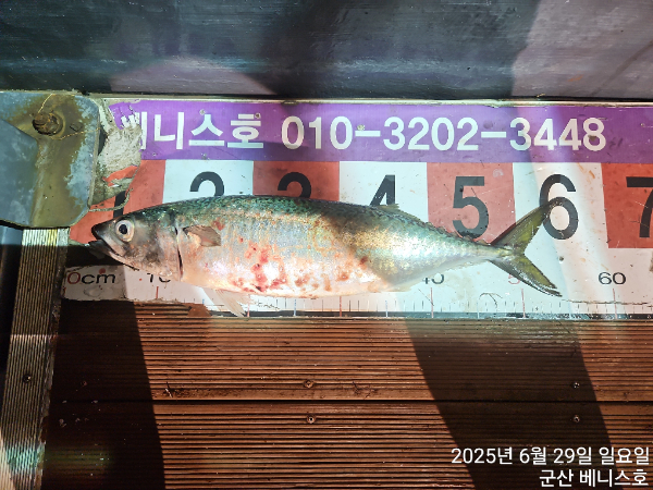 KakaoTalk_20250629_133515724.jpg