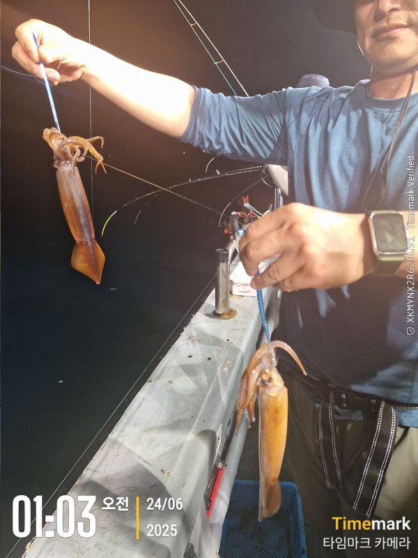 2025-06-24 01.03.29_.jpg