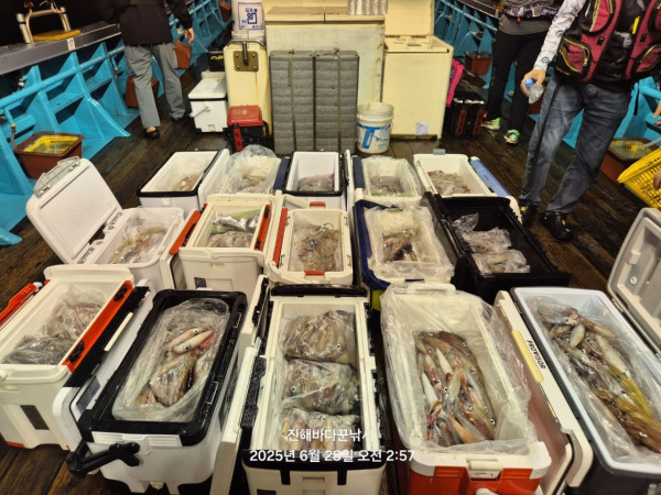 바다꾼낚시(신아라호)_사진_20250628_3.jpg