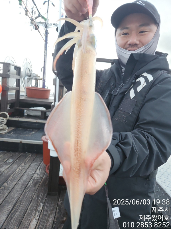 제주왔어호_사진_20250604_15.jpg