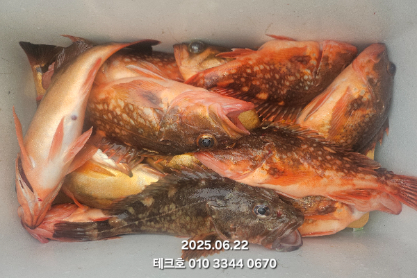 KakaoTalk_20250624_142321215_13.jpg