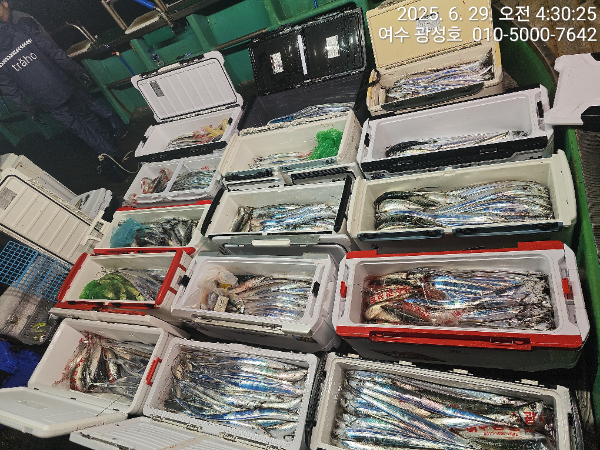 KakaoTalk_20250629_060205708_14.jpg