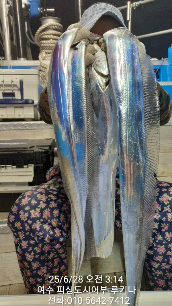 1751065531607.jpg