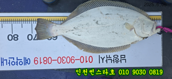 6월6 썬스타 (19).jpg