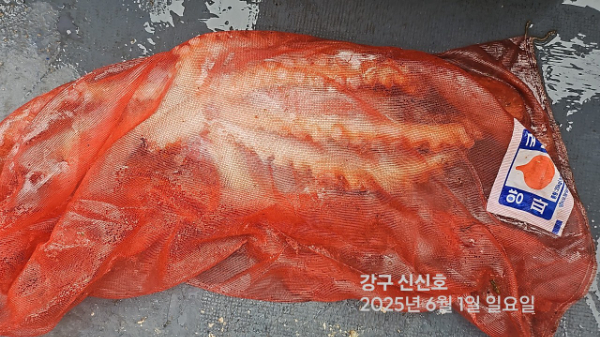 신신낚시 강구점 신신호_사진_20250601_17.jpg