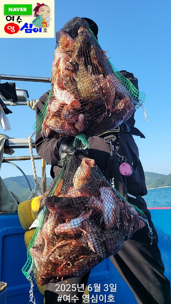 KakaoTalk_20250603_222843988_06.jpg