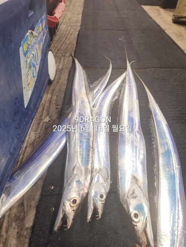 879FE2DB-990B-4994-B652-49FC235218AE.jpeg