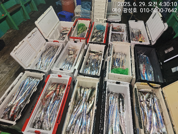 KakaoTalk_20250629_060205708_12.jpg