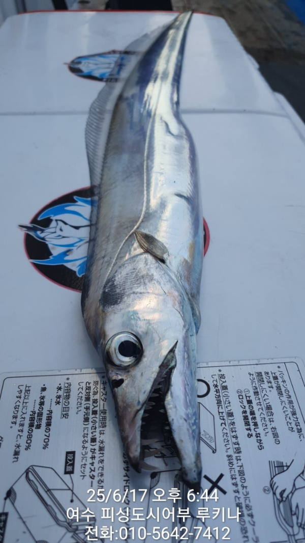 1750205303888.jpg