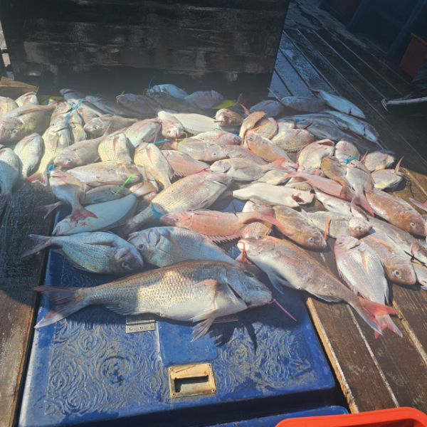 마검포 대한호(VIP)_사진_20250622_2.jpg