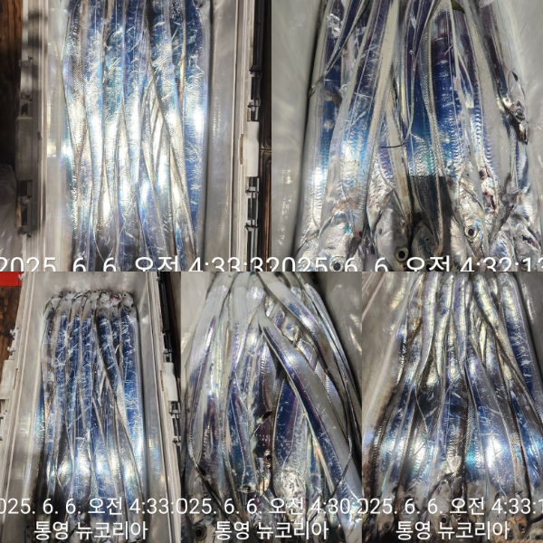 6fd8546ab04589b37a0d86edfb2badb5.jpg