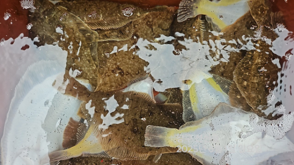 신신낚시 강구점 신신호_사진_20250601_8.jpg