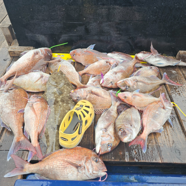 마검포 대한호(VIP)_사진_20250624_3.jpg