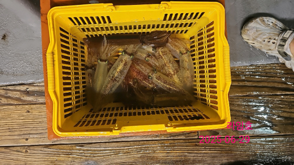 KakaoTalk_20250630_074213931_15 (1).jpg