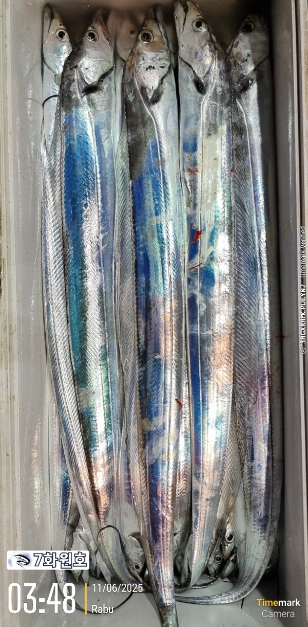358B344B-EEB9-42C4-AD40-0BFA52888E42.jpeg