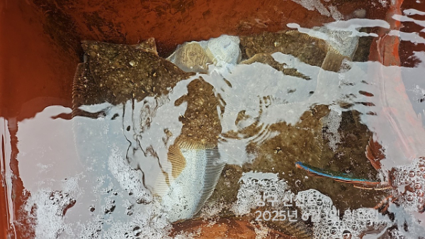 신신낚시 강구점 신신호_사진_20250601_9.jpg
