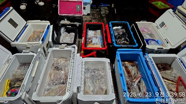 7f95493de7555be60298bac8056360ab.jpg