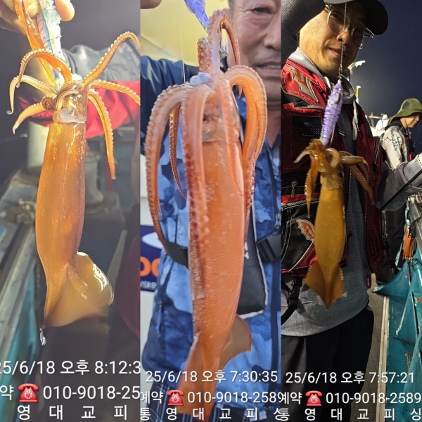 20250619_214941.jpg
