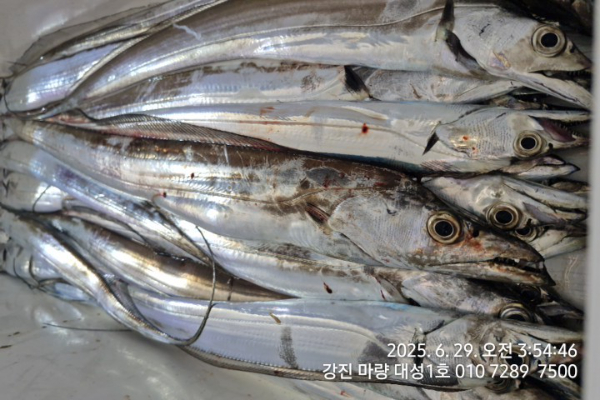 833cc0ef1ba71ed92ca101fdfc8cdcb5.jpg