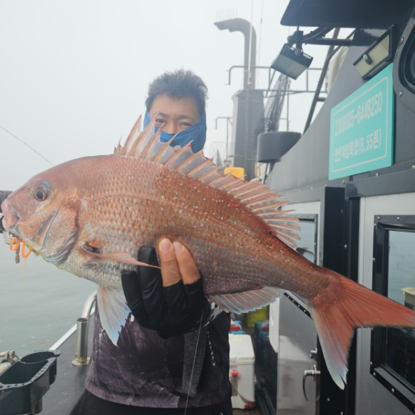 마검포 대한호(VIP)_사진_20250627_1.jpg