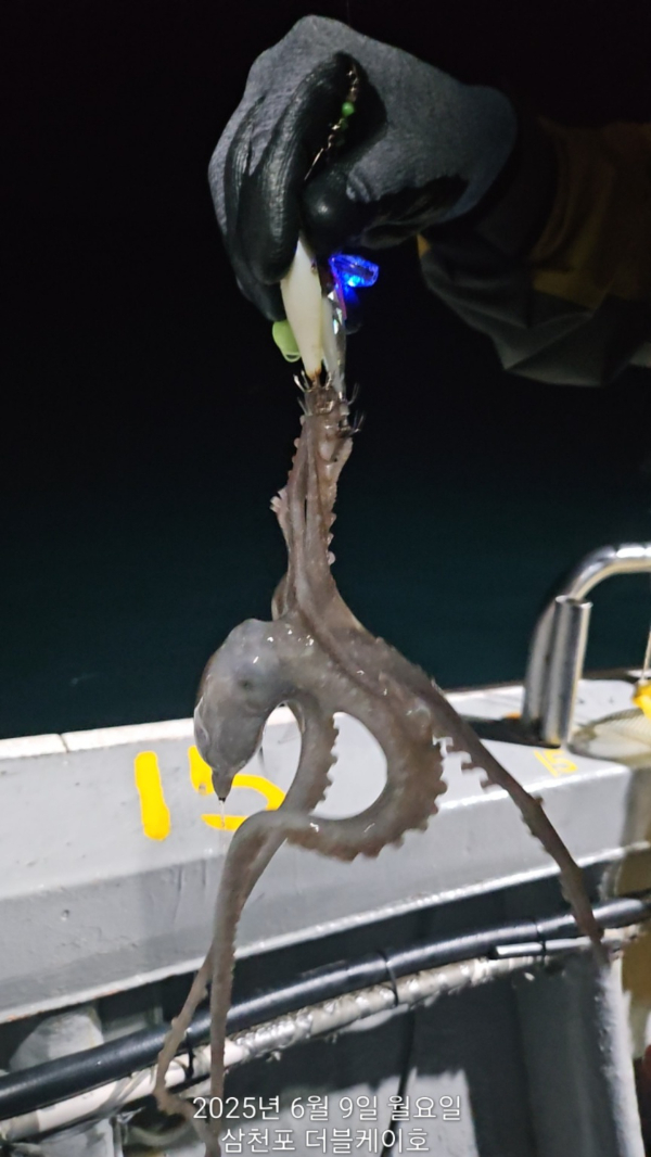 KakaoTalk_20250609_213115630_04.jpg
