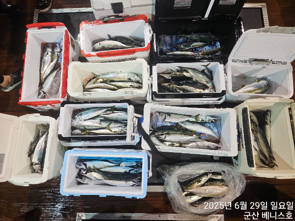 KakaoTalk_20250629_133515724_02.jpg