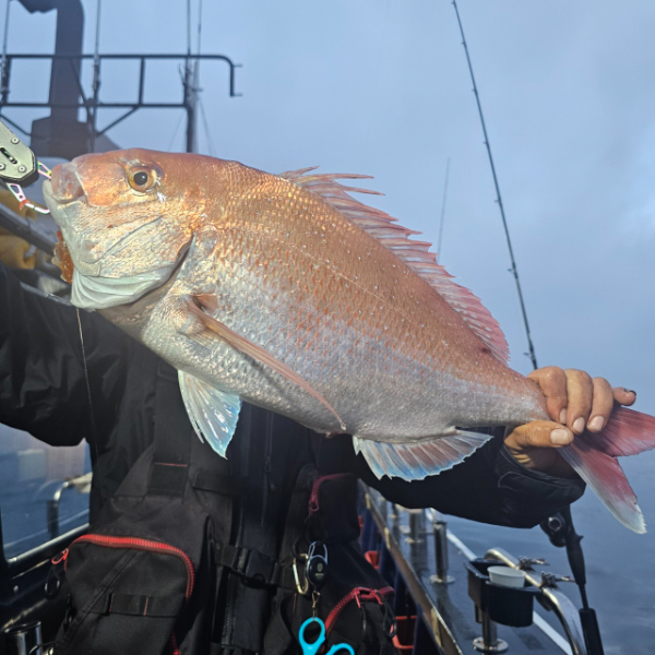 마검포 대한호(VIP)_사진_20250622_5.jpg