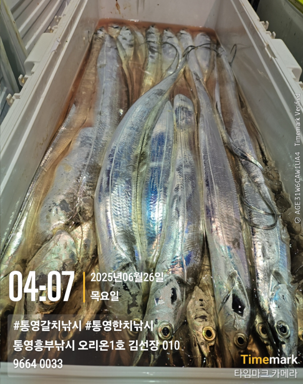 9a9d5a9662e3cbd6adb6d87e34e9f9a1.jpg